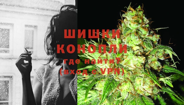 круглые Аркадак