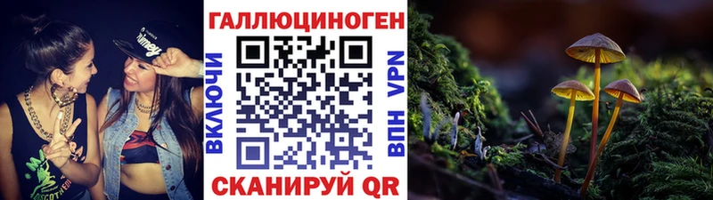 MEGA как войти  Хвалынск  Псилоцибиновые грибы MAGIC MUSHROOMS 